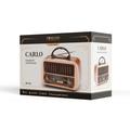 Ikuisesti Electro FM-radio CARLO JB-105 BT USB 1200 mAh