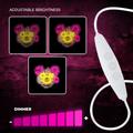 Neon ART LED PUNK TEDDY BEAR pink-yellow FLA01 Forever Light