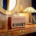 Ikuisesti Electro AM/FM-radio VINCENT JB-120 BT USB 1200mAh