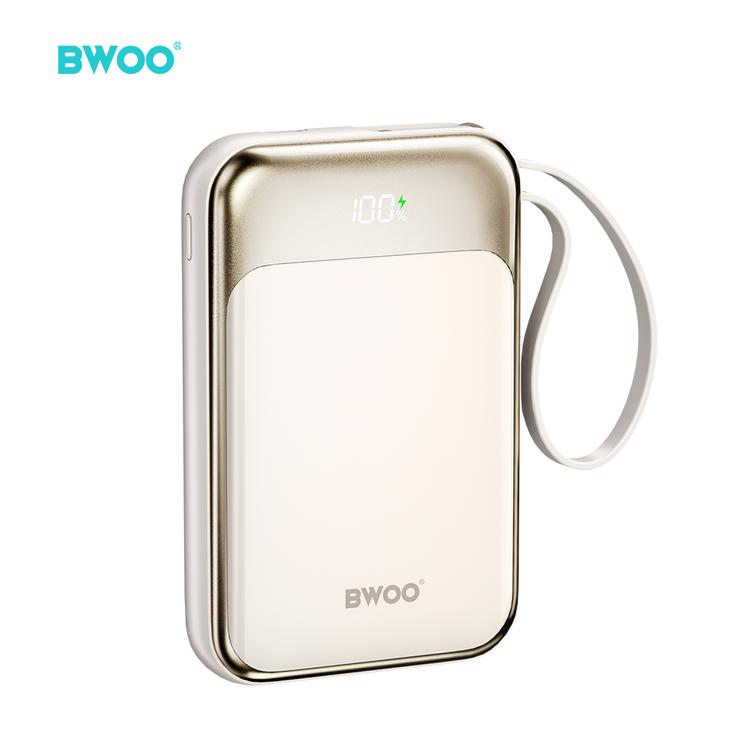 BWOO PD 20W 10000 mAh Power Bank With Usb-c Cable and Display P80 gold