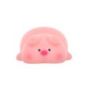 LED-yölamppu SLEEPY PIG FNL-09 Forever Light