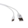 CAR CHARGER MAXXIMUS CANNY 1A + TYPE-C