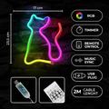 Neon LED RGB CAT FLRN03 + RC Forever Light